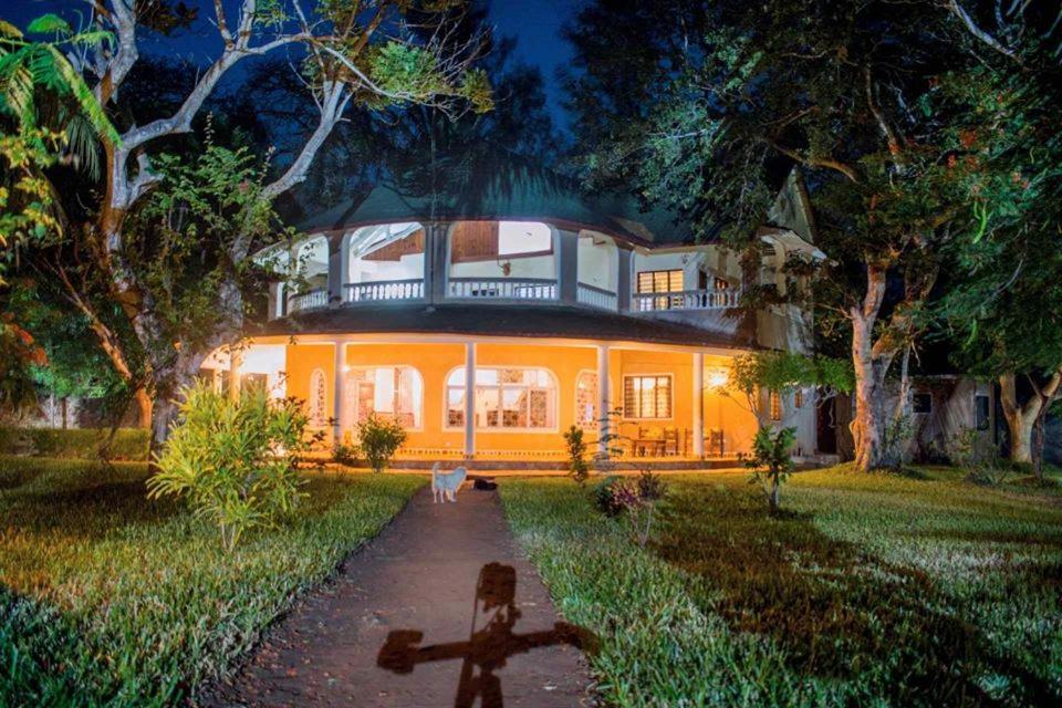 Kijani Cottages Diani Diani Beach Zewnętrze zdjęcie